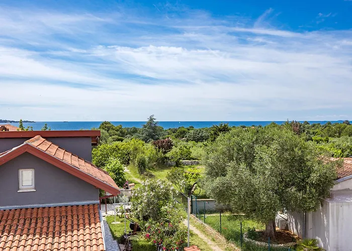 Villa Sunny Olive